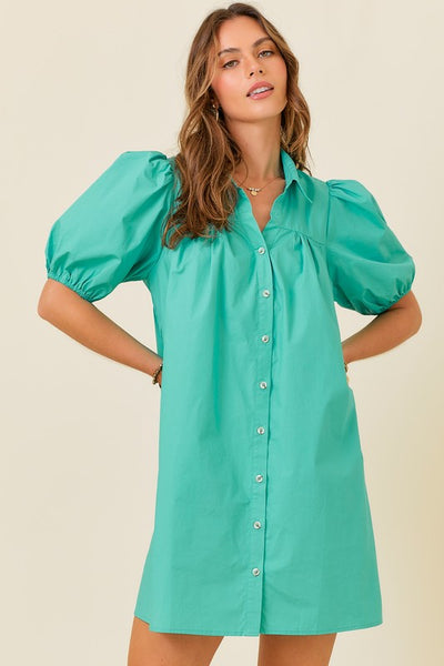 Puff Sleeve Button Down Dress