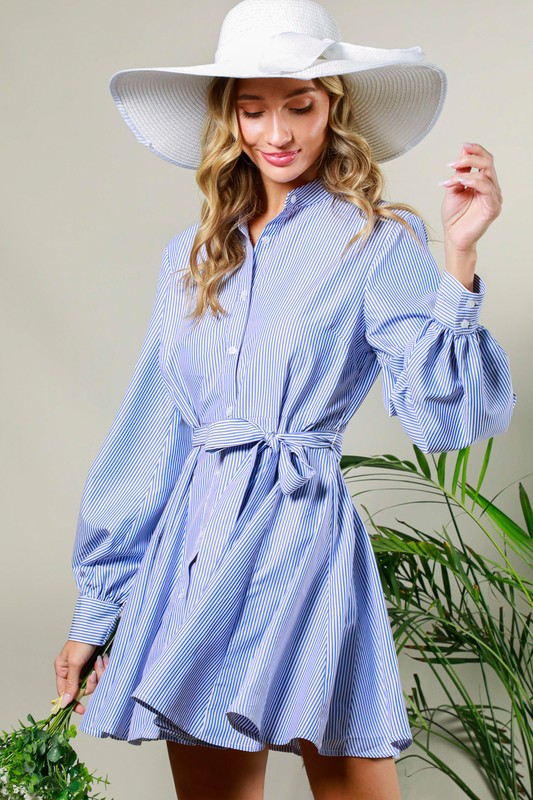 Striped Shirt Dress
